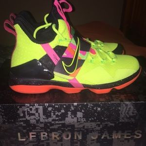 LEBRON XIV HWC